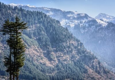 4 Romantic Days in Kullu Manali : Where love meets the mountains and every moment feels like a dream