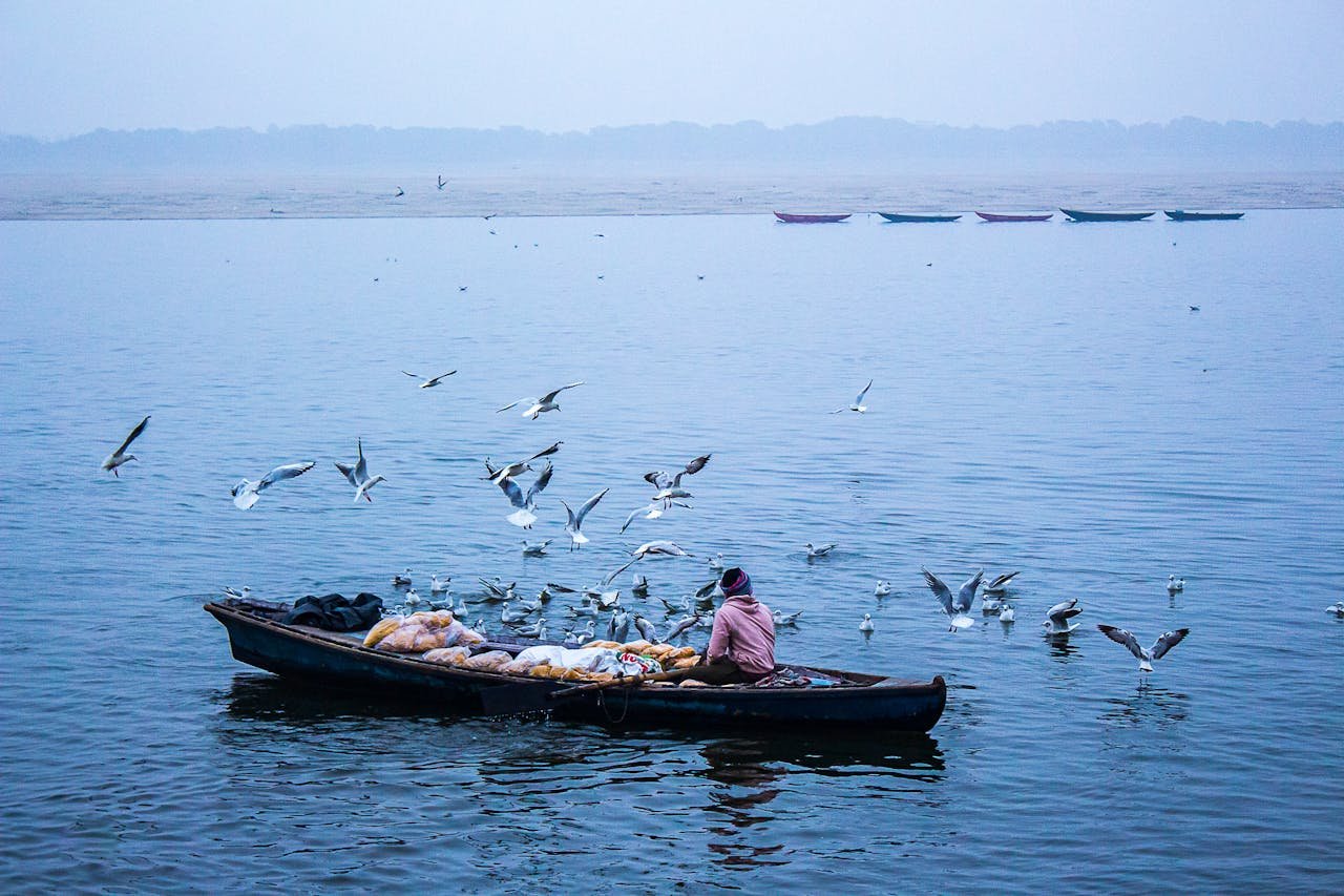 A captivating scene of a fisherman in a boat, surrounded by seagulls, on a tranquil river.